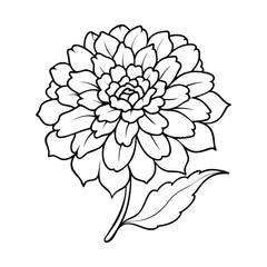Black and white outline of a marigold flower with intricate petals and a single leaf