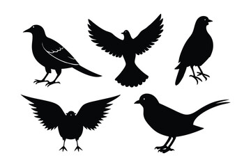 Fototapeta premium 5 different styles of bird silhouette