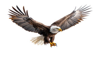 Obraz premium Majestic Eagle with Spread Wings on Transparent Background