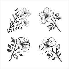 Floral Flower vector art silhouette