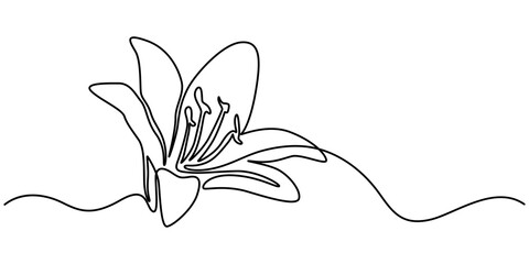 Naklejka premium abstract lily flower,continuous single line art drawing sketch, logo, Lily Continuous Line Drawing with Editable Stroke. Vector Pen and Ink Illustration, Continuous one line drawing beauty fresh.