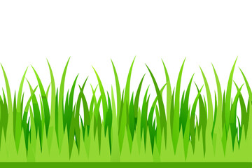 Obraz premium grass vector
