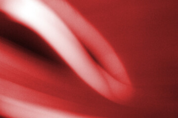 Organic forms - Fotodesign - Banner - No Ai - Art