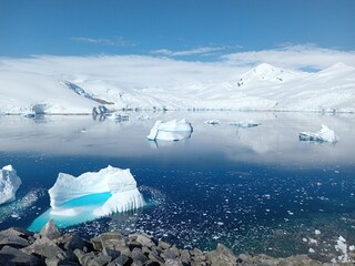 Iceberg floating in Antarctic Peninsula