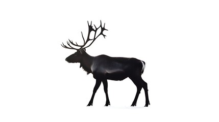 Obraz premium 16. A reindeer standing in profile, its antlers forming a symmetrical silhouette on a white background