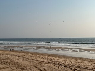 Life on beach of Karachi with sea sand.