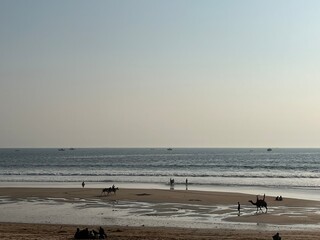 Life on beach of Karachi with sea sand.