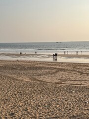 Life on beach of Karachi with sea sand.