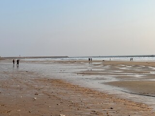 Life on beach of Karachi with sea sand.