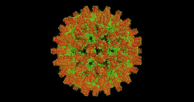Hepatitis B virus, 3D molecule spinning 4k