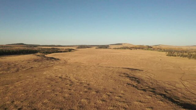 Flying over golden grasslands in evening light