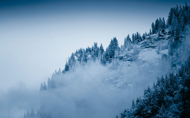 misty mountain landscape