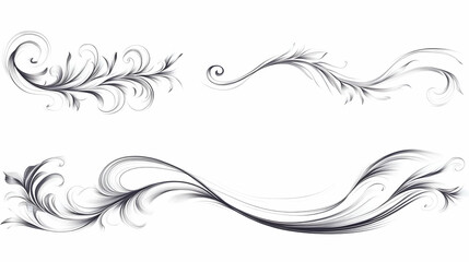 Fototapeta premium decorative lineon isolated on a white background