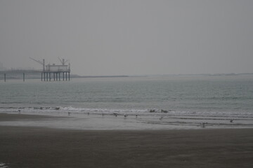 Lido di Dante, Adriatic Sea (Romagna), Italy