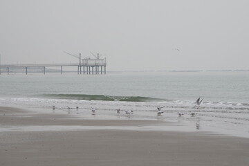 Lido di Dante, Adriatic Sea (Romagna), Italy