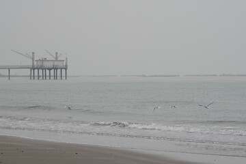 Lido di Dante, Adriatic Sea (Romagna), Italy