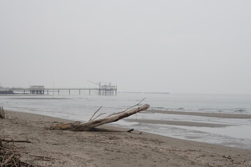 Lido di Dante, Adriatic Sea (Romagna), Italy