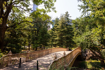 A picturesque view of a decorative bridge in Central Park, New York City