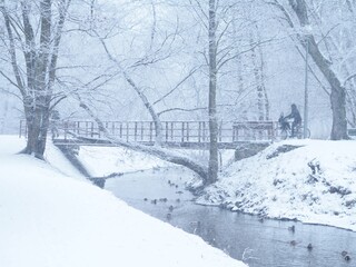 Zima w Pruszkowie © Renata