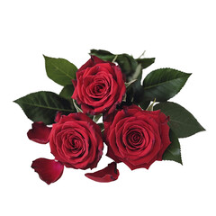 Naklejka premium Elegant Arrangement of Vibrant Red Roses with Glossy Green Leaves and Visible Thorns on Clean transparent Background