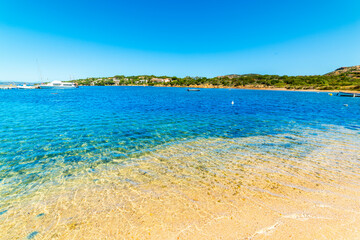 Fototapeta premium Turquoise water and golden sand in a beach in Sardinia