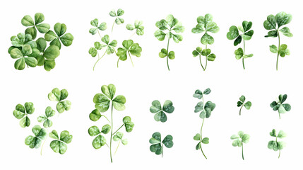 Fototapeta premium cloverson isolated on a white background