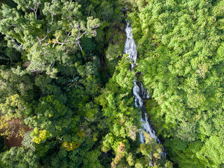 Beautiful waterfall in the forest, Laos