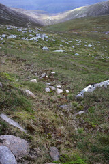 Path following Glas-allt river leading to Lochnagar - Loch Muick to Lochnagar path - Aberdeenshire - Scotland - UK