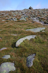 Path following Glas-allt river leading to Lochnagar - Loch Muick to Lochnagar path - Aberdeenshire - Scotland - UK