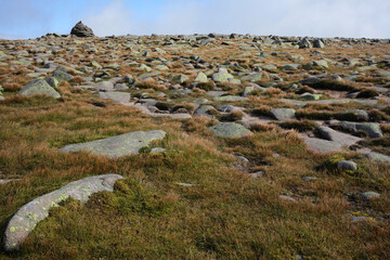 Path following Glas-allt river leading to Lochnagar - Loch Muick to Lochnagar path - Aberdeenshire - Scotland - UK