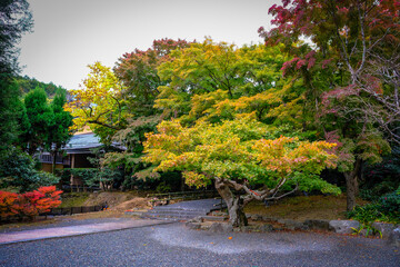 autumn in the park