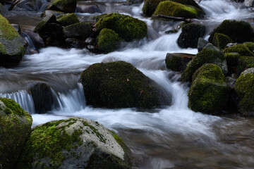 Particolare di fiume con sassi in primo piano