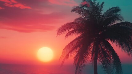 A retro-inspired sunset gradient with a silhouette of a palm tree in the foreground.
