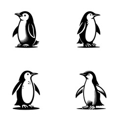 Obraz premium Clean Vector silhouette of penguin isolated on white background. 