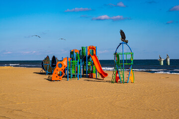 scene at the beach