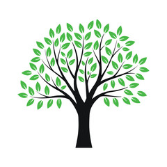 Fototapeta premium Big tree icon illustration vector