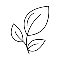 Fototapeta premium A simple and clean line art drawing of a plant with three leaves, designed in a minimalistic black outline style 