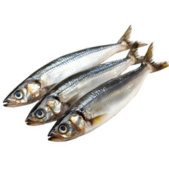 Fototapeta premium Fresh Baltic herring fish arranged neatly on a transparent background for culinary presentation and marketing, Baltic herring fishisolated on transparent background Fresh fish object
