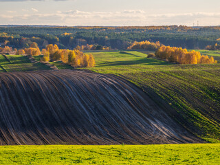 An autumn agricultural landscape.. Here is an image depicting an autumn agricultural landscape with...