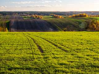 An autumn agricultural landscape.. Here is an image depicting an autumn agricultural landscape with picturesque fields, trees in fall colors, and a peaceful rural setting. Roztocze. Poland.