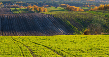 An autumn agricultural landscape.. Here is an image depicting an autumn agricultural landscape with picturesque fields, trees in fall colors, and a peaceful rural setting. Roztocze. Poland.