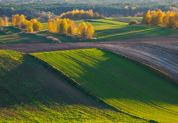 An autumn agricultural landscape.. Here is an image depicting an autumn agricultural landscape with picturesque fields, trees in fall colors, and a peaceful rural setting. Roztocze. Poland.
