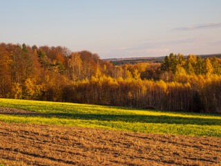 An autumn agricultural landscape.. Here is an image depicting an autumn agricultural landscape with picturesque fields, trees in fall colors, and a peaceful rural setting. Roztocze. Poland.