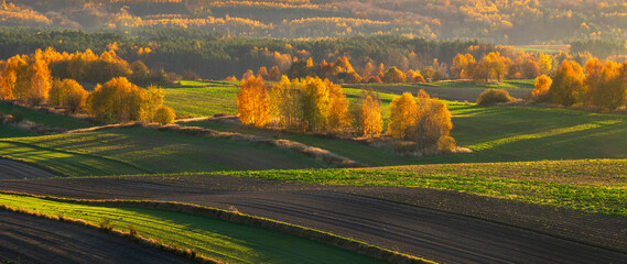 An autumn agricultural landscape.. Here is an image depicting an autumn agricultural landscape with picturesque fields, trees in fall colors, and a peaceful rural setting. Roztocze. Poland.