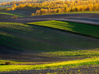 An autumn agricultural landscape.. Here is an image depicting an autumn agricultural landscape with picturesque fields, trees in fall colors, and a peaceful rural setting. Roztocze. Poland.