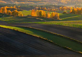 An autumn agricultural landscape.. Here is an image depicting an autumn agricultural landscape with picturesque fields, trees in fall colors, and a peaceful rural setting. Roztocze. Poland.