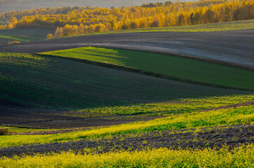 An autumn agricultural landscape.. Here is an image depicting an autumn agricultural landscape with picturesque fields, trees in fall colors, and a peaceful rural setting. Roztocze. Poland.