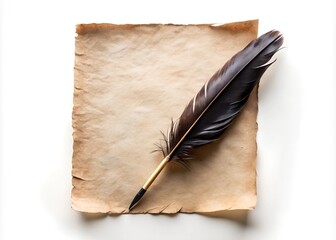 feather quill pen on blank sheet parchment paper, art calligraphy supplies office stationery