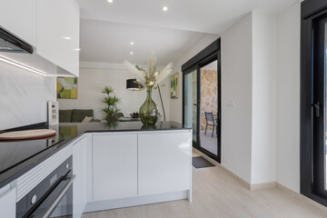 Modern Kitchen with Open Plan Design