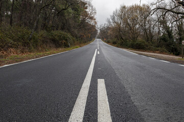 Obraz premium Highway to infinity. a straight asphalt in a forest on a cloudy winter day